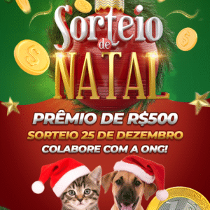 Sorteio de Natal
